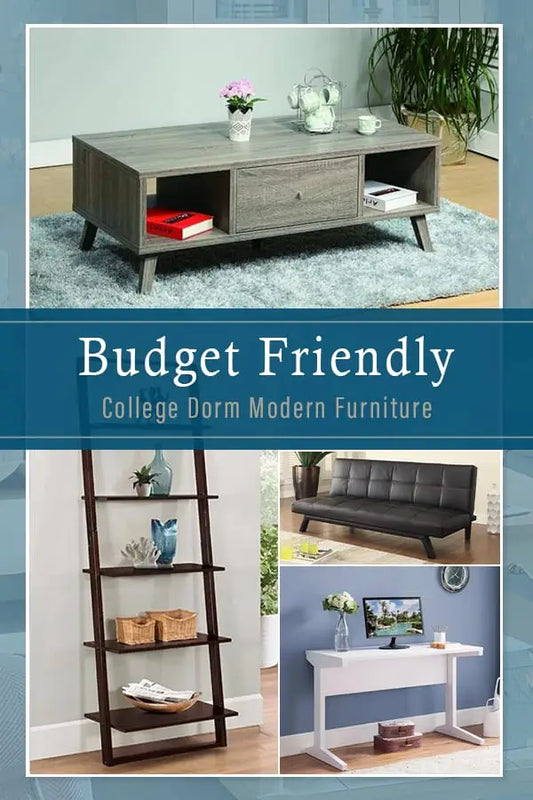 BUDGET FRIENDLY COLLEGE DORM MODERN FURNITURE ESSENTIALS