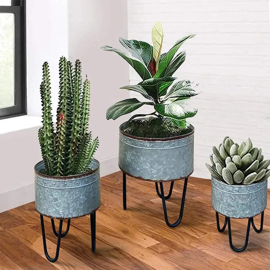 Galvanized Metal Planters with Hairpin Legs