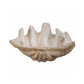 Medium Clam Shell Accent White By Casagear Home ABH-74704