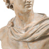 Antiquely Composed Placidia Bust Statue By Casagear Home ABH-74715