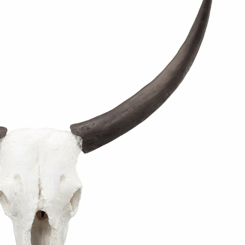 Wild & Beautiful Cow Skull Resin By Casagear Home ABH-75718