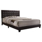 Sophistiated Transitional Style Queen Size Padded Bed Brown AMF-26350Q