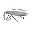 15’ Oval Coffee Table with Irregular Metal Base Gray AMF-81730