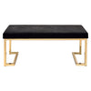 40’ Modern Bench with Metal Base and Cushioned Seat Black and Gold By ACME AMF-96595