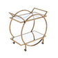 Metal Serving Cart with Mirrored Open Shelf and Tubular Angled Handles Gold and Clear - 98295 AMF-98295