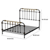 Transitional Queen Metal Bed Black and Gold By Casagear Home FOA-CM7733Q