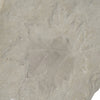 Concrete Fossil Accent Stone with Fern Leaves Imprint Gray - BM200856 BM200856