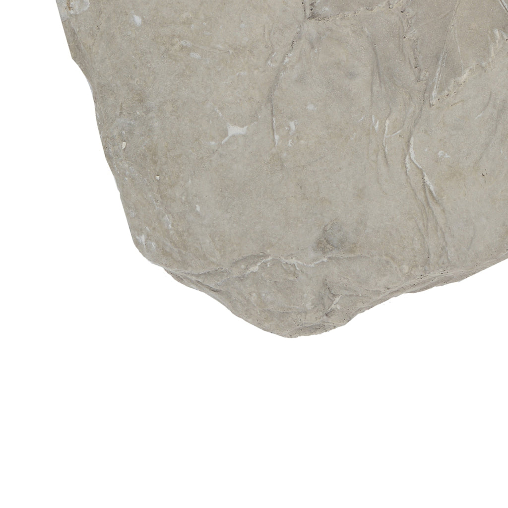 Concrete Fossil Accent Stone with Fern Leaves Imprint Gray - BM200856 BM200856