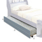 Transitional Style Wooden Trundle Bed with Caster Wheels Gray By Casagear Home BM204312