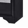 Nightstand with 2 Drawers and Rhinestone Pull Handles Black and Silver By Casagear Home BM206512