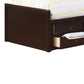 Wooden Full Size Bed with Bookcase Headboard and Storage Unit Brown By Casagear Home BM206596