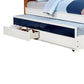 2 Drawer Coastal Style Twin Bed with Trundle and Storage By Casagear Home BM207421