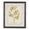 Wooden Frame Wall Art with Botanical Design Set of 4 Green and Brown By Casagear Home BM209336