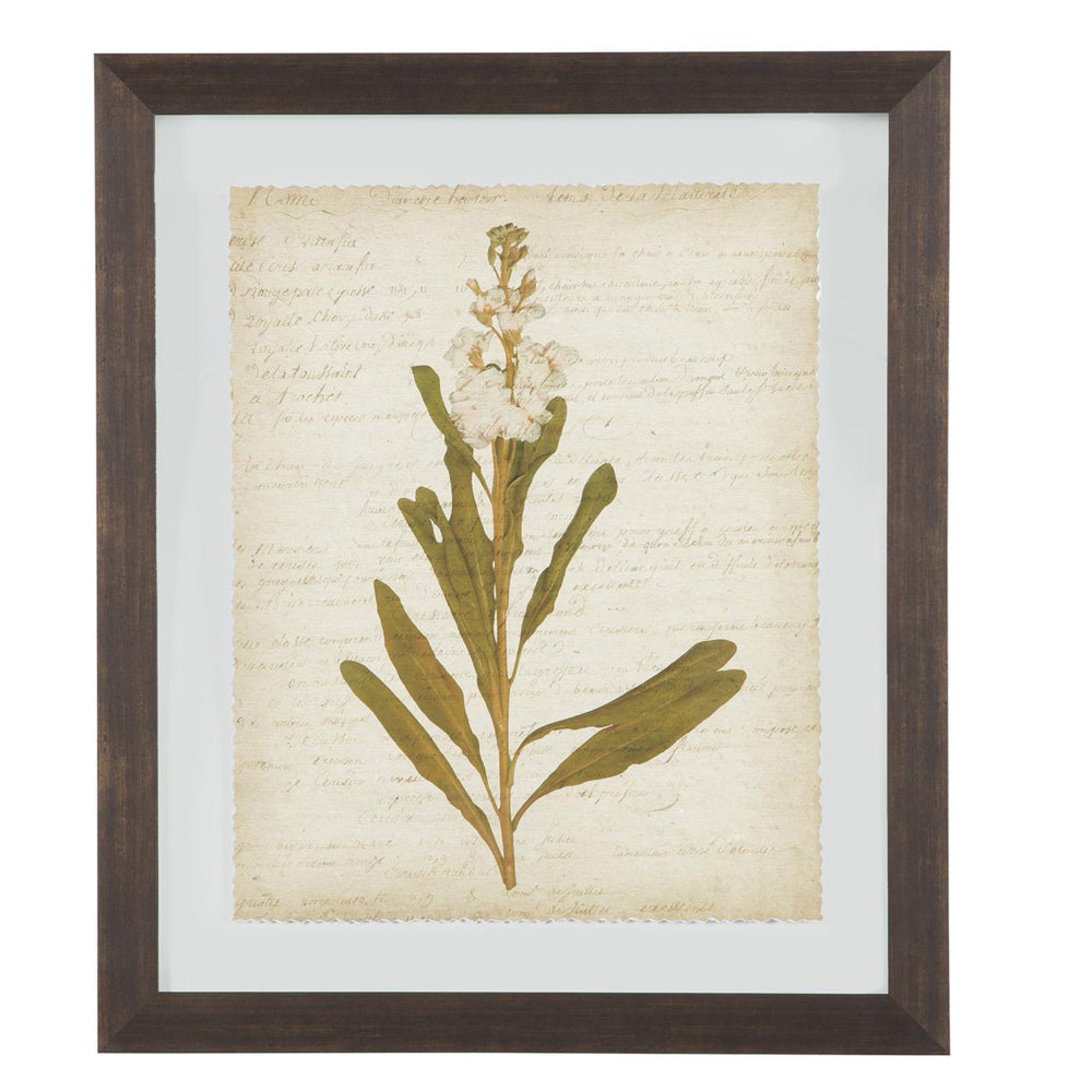 Wooden Frame Wall Art with Botanical Design Set of 4 Green and Brown By Casagear Home BM209336