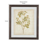 Wooden Frame Wall Art with Botanical Design Set of 4 Green and Brown By Casagear Home BM209336