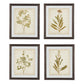 Wooden Frame Wall Art with Botanical Design, Set of 4, Green and Brown By Casagear Home