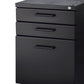 Contemporary Style File Cabinet with Lock System and Caster Support Black By Casagear Home BM209615