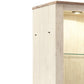 Tall Pier with 1 Door Cabinet and 2 Adjustable Glass Shelves Antique White By Casagear Home BM210895