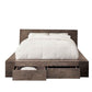 Transitional Style Wooden California King Size Bed with 2 Drawers, Brown By Casagear Home