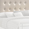 Faux Crystal Tufted Fabric Twin Headboard with LED Trim White By Casagear Home BM220406