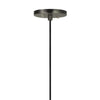 Hexagonal Metal Frame Single LED Light Pendant with Glass Diffuser Black By Casagear Home BM220652