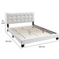 Queen Leatherette Bed with Checkered Tufted Headboard White By Casagear Home BM232018