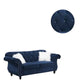 77 Inches Nailhead Trim Velvet Loveseat with Crystal Tufting Blue By Casagear Home BM233089