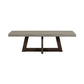 Elodie Grey Concrete and Dark Grey Oak Rectangle Coffee Table By Casagear Home BM246000