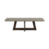 Elodie Grey Concrete and Dark Grey Oak Rectangle Coffee Table By Casagear Home BM246000