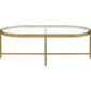 Coffee Table with Oblong Glass Top and Metal Frame Gold By Casagear Home BM250407