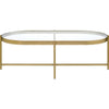 Coffee Table with Oblong Glass Top and Metal Frame Gold By Casagear Home BM250407