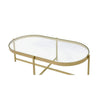 Coffee Table with Oblong Glass Top and Metal Frame Gold By Casagear Home BM250407