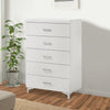 Chest with 5 Drawers and Wooden Frame White By Casagear Home BM269002