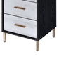 San 45 Inch 5 Drawer Jewelry Storage Chest Gold Legs Black and Silver By Casagear Home BM274615