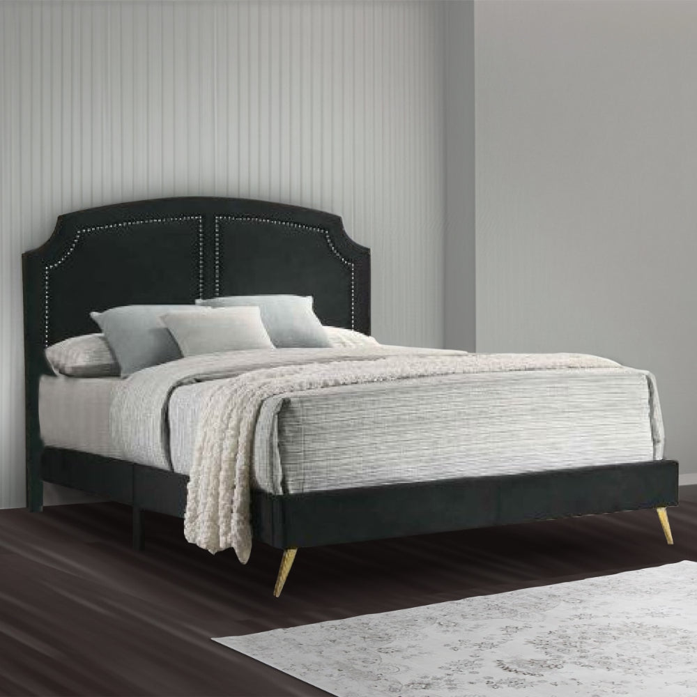 Lily Platform King Upholstered Bed, Padded Headboard, Black, Gold By Casagear Home