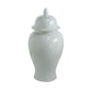 Deva 20 Inch Medium Porcelain Ginger Jar Classic White Glossy Finish By Casagear Home BM285354