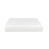 Bree 10 Inch Plush XL Twin Size Mattress with Gel Foam Aloe Vera Infused By Casagear Home BM286522