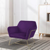 Zoey 30 Inch Modern Accent Chair with Gold Metal Frame and Purple Velvet By Casagear Home BM293184