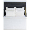 Lipa 20 x 26 Handmade Standard Pillow Sham Rayon Velvet Ivory White By Casagear Home BM293271