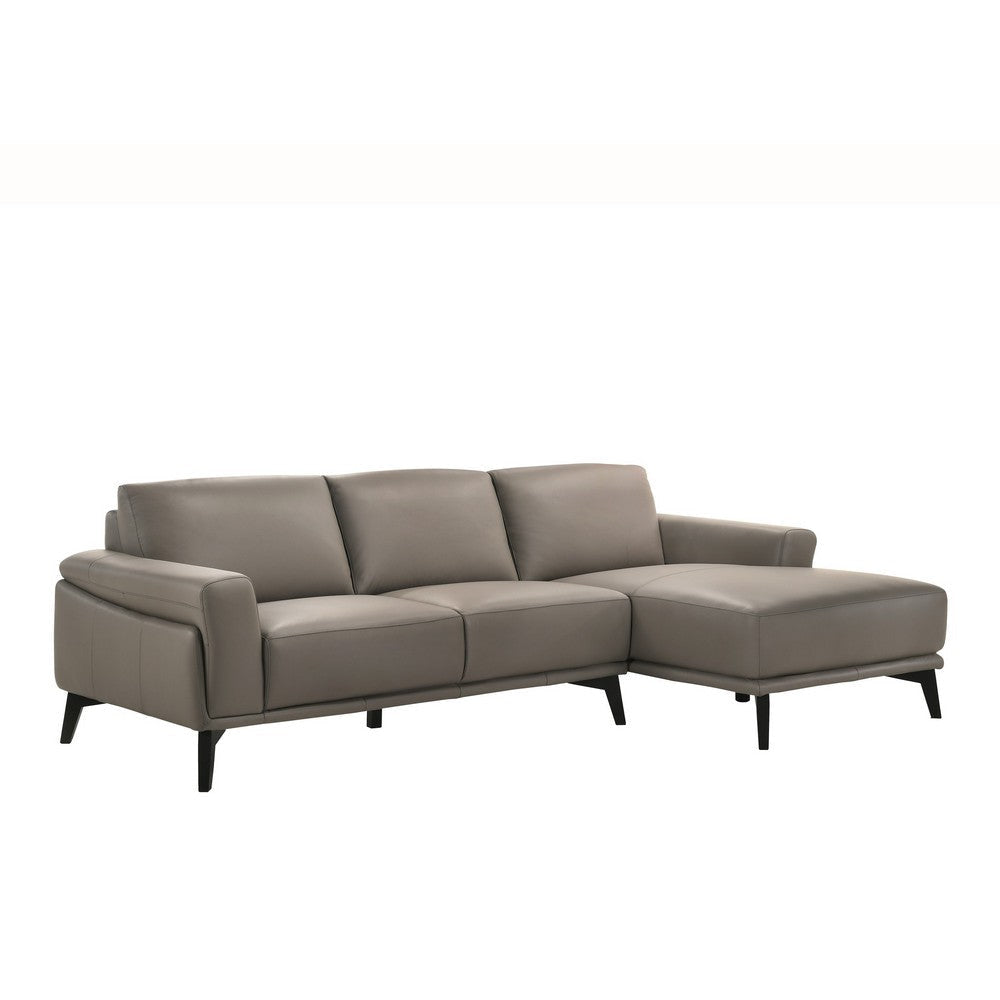 Liza 67 Inch Genuine Italian Leather Sofa, Gray  By Casagear Home