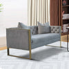 Reba 57 Inch Loveseat with 2 Pillows Gold Steel Frame Light Gray Velvet By Casagear Home BM294189