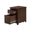 Eloise 23 Inch 2 Drawer File Cabinet with Fingerprint Biometric Lock Brown By Casagear Home BM295422