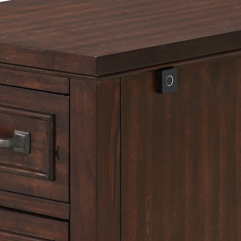 Eloise 23 Inch 2 Drawer File Cabinet with Fingerprint Biometric Lock Brown By Casagear Home BM295422