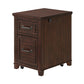 Eloise 23 Inch 2 Drawer File Cabinet with Fingerprint Biometric Lock, Brown By Casagear Home