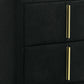 Bios 24 Inch Nightstand 2 Drawers Black Vegan Faux Leather Gold Accents By Casagear Home BM302193