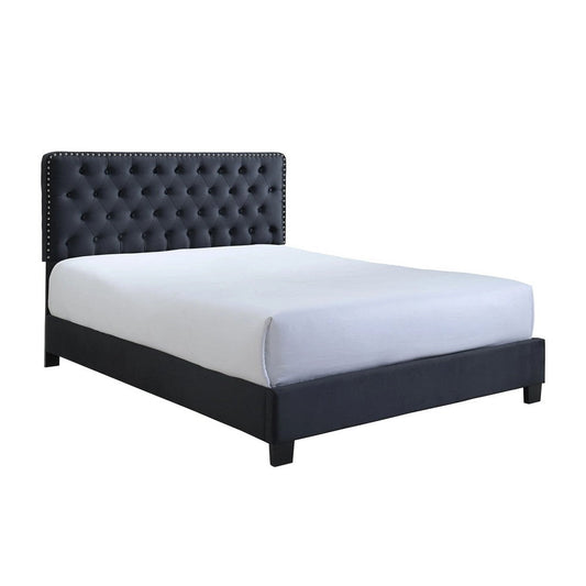 Jane Queen Size Bed, Low Profile, Black Tufted Fabric Upholstered Headboard By Casagear Home