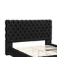 James Queen Size Bed Platform Style Button Tufted Black Velvet Upholstery By Casagear Home BM307245