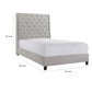 Maze Queen Size Bed Button Tufted Nailhead Beige Faux Leather Upholstery By Casagear Home BM307258