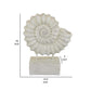 Shyn 19 Inch Shell Decor Resin Wood Stand Classic Antique White Finish By Casagear Home BM310180