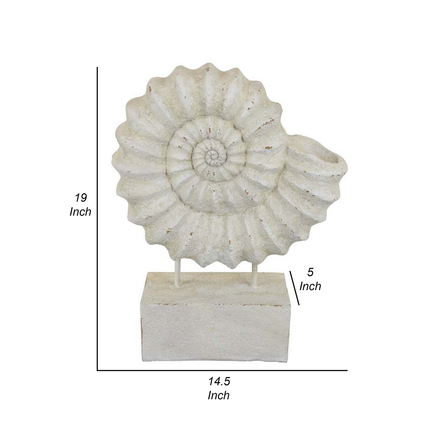 Shyn 19 Inch Shell Decor Resin Wood Stand Classic Antique White Finish By Casagear Home BM310180